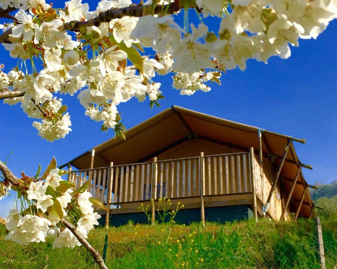 Villaladiva Boutique Glamping Massignano Kültér fotó
