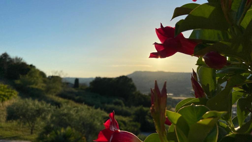 Villaladiva Boutique Glamping Massignano Kültér fotó